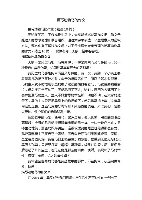 描写动物马的作文（精选10篇）