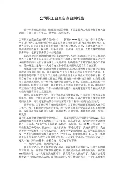 公司职工自查自查自纠报告