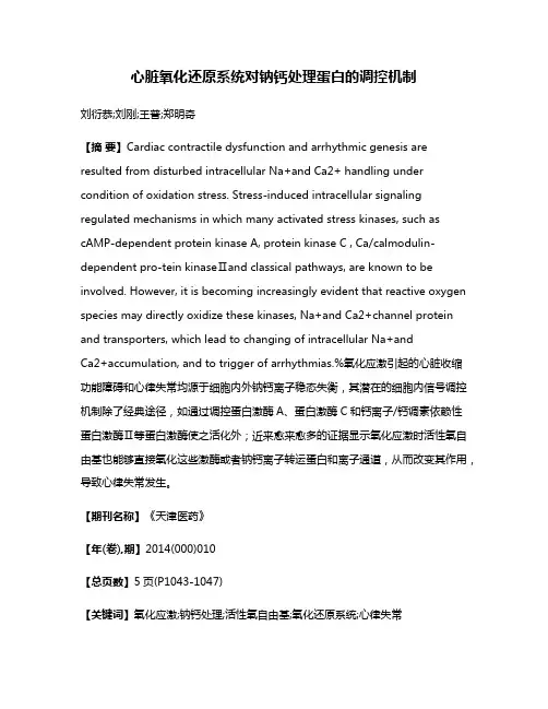 心脏氧化还原系统对钠钙处理蛋白的调控机制