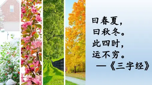 部编版美丽的冬天PPT优秀课件.pptx
