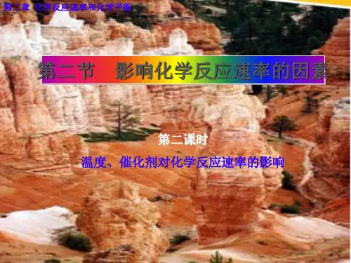 2.2.2 影响化学反应速率的因素  温度、催化剂对化学反应速率的影响 课件(共27张)
