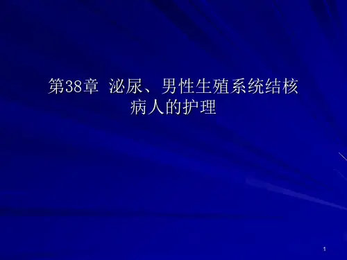 泌尿男性生殖系统结核病人的护理ppt课件