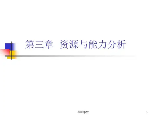 公司战略资源与能力分析