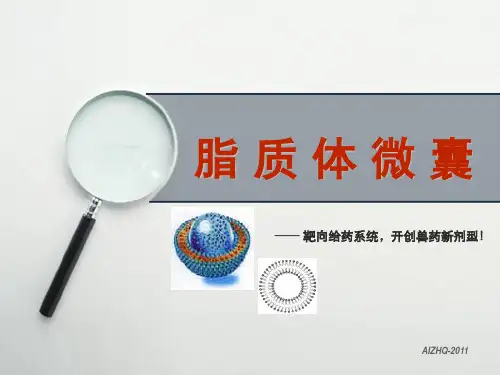 脂质体-微囊1