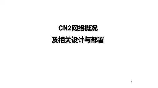 VPN简介-CN2网络概况及MPLS