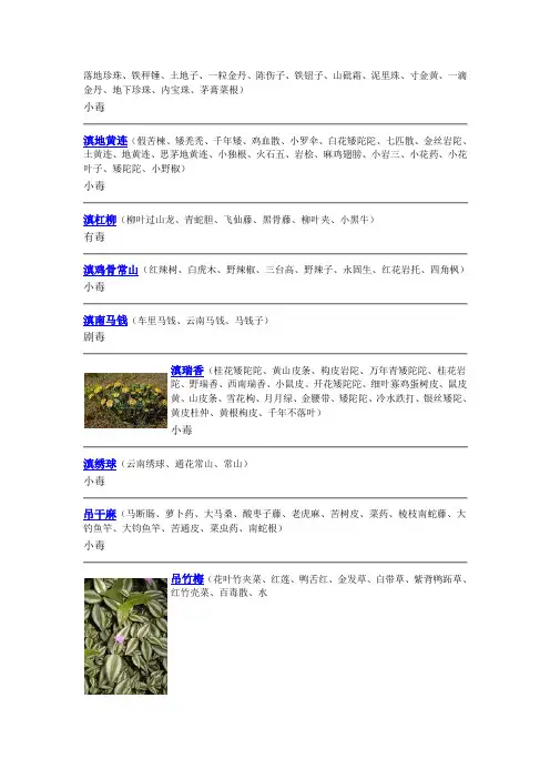 有毒中药