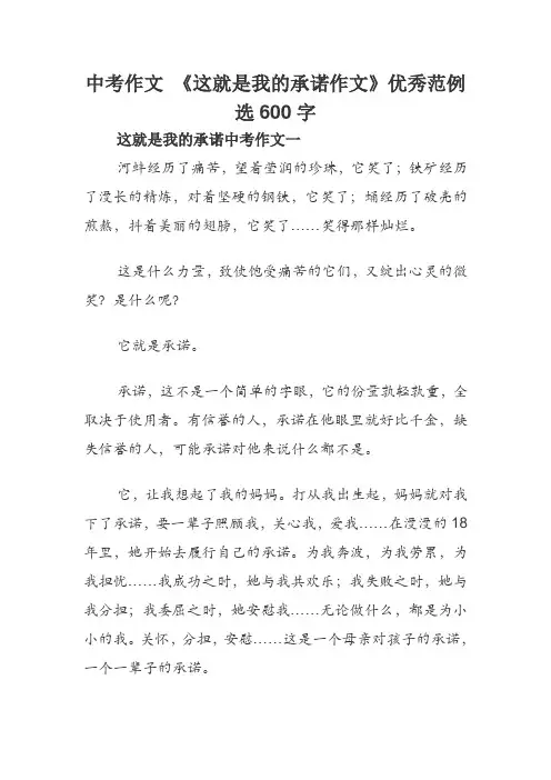 中考作文 《这就是我的承诺作文》优秀范例选600字