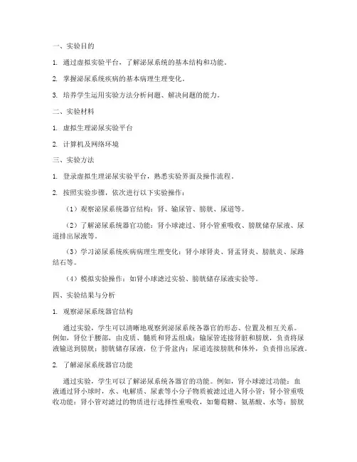 虚拟生理泌尿实验报告