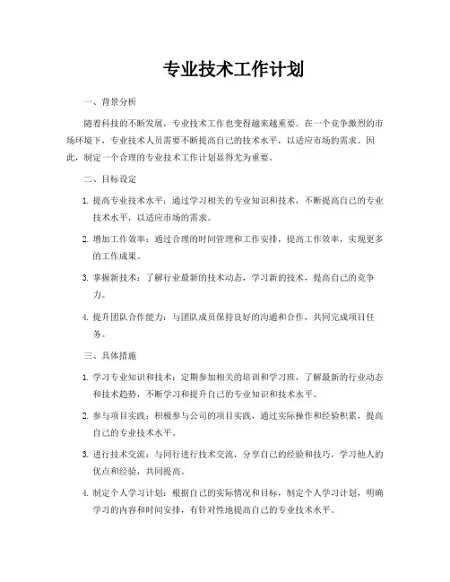 专业技术工作计划