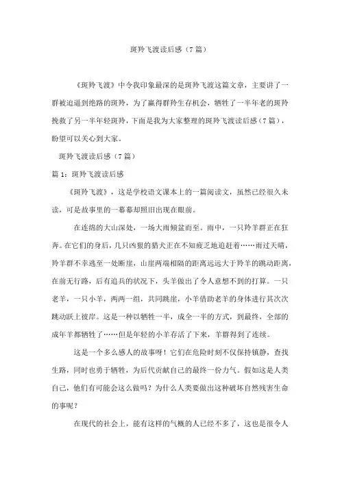 斑羚飞渡读后感(7篇)