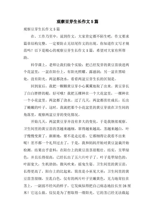 观察豆芽生长作文5篇