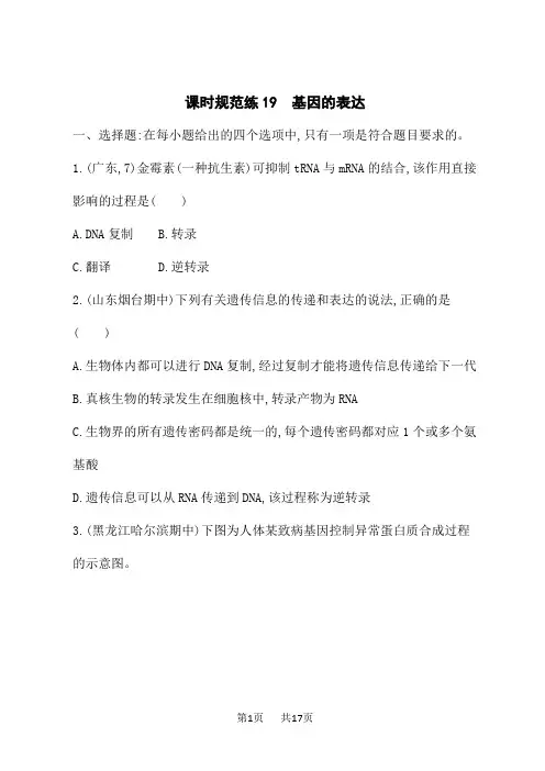 人教版高考生物学一轮总复习课后习题 第6单元 遗传的分子基础 课时规范练19 基因的表达 (4)