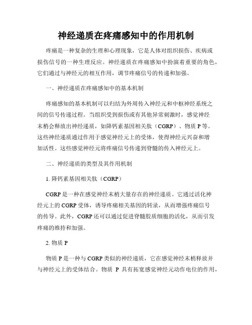 神经递质在疼痛感知中的作用机制
