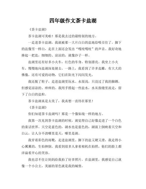四年级作文茶卡盐湖
