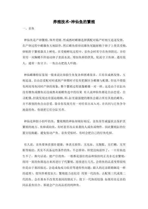 养殖技术-神仙鱼的繁殖