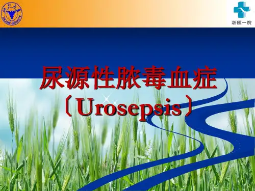 尿源性脓毒血症PPT