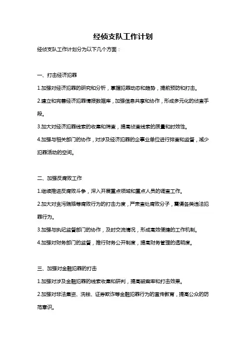经侦支队工作计划