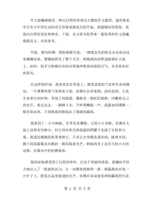 作文晨曦朝露范文