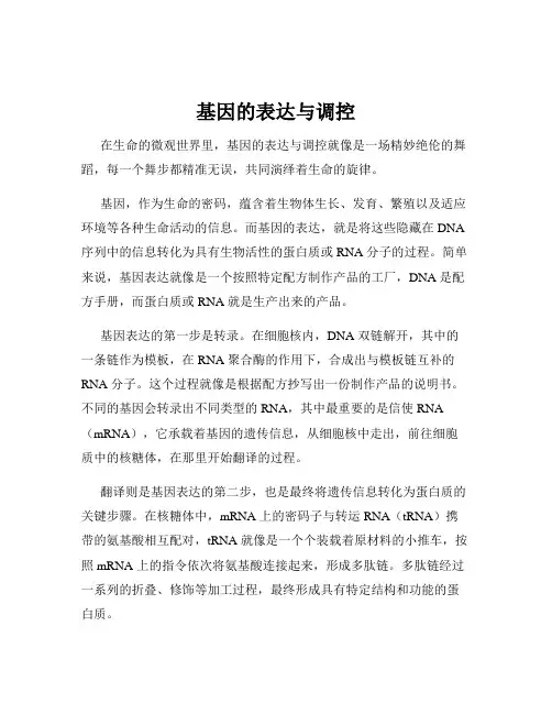 基因的表达与调控