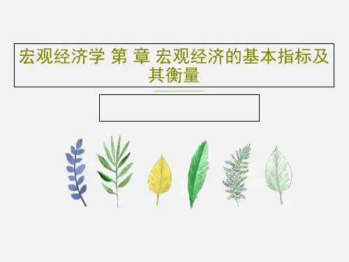 宏观经济学 第 章 宏观经济的基本指标及其衡量共102页