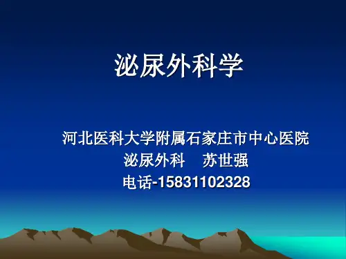 外科课件第五十一章泌尿男生殖系统外科检查和诊断