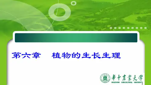 华中农业大学    植物生理学    第六章生长生理
