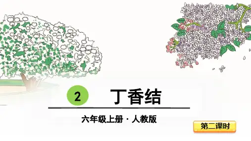 最新部编版六年级上册语文同步ppt课件——2-丁香结 第二课时