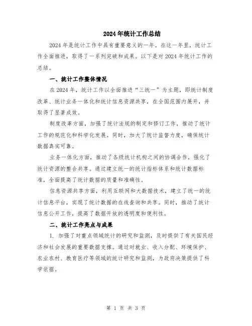 2024年统计工作总结