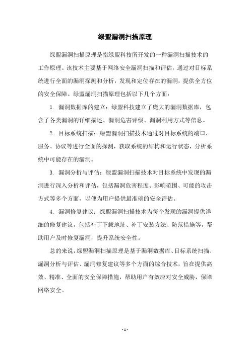 绿盟漏洞扫描原理