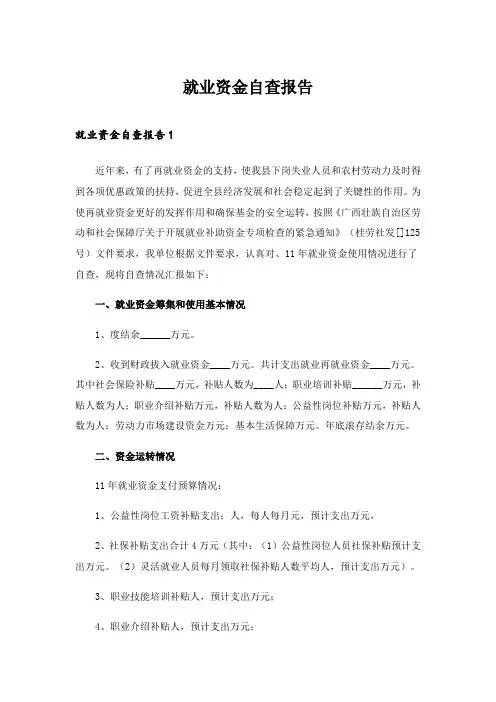 2024年就业资金自查报告_3