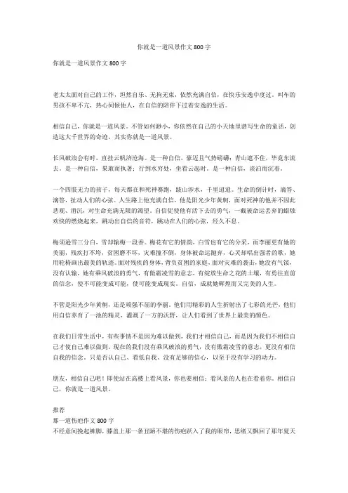 你就是一道风景作文800字