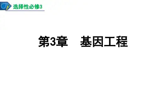 重组DNA技术的基本工具课件-高二生物人教版选择性必修3