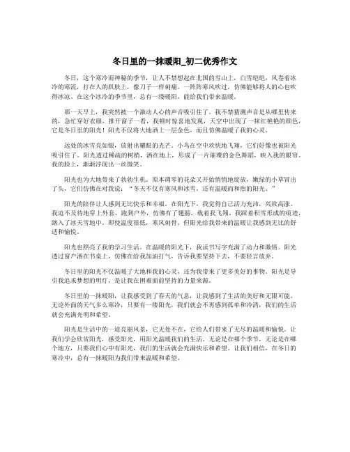 冬日里的一抹暖阳_初二优秀作文