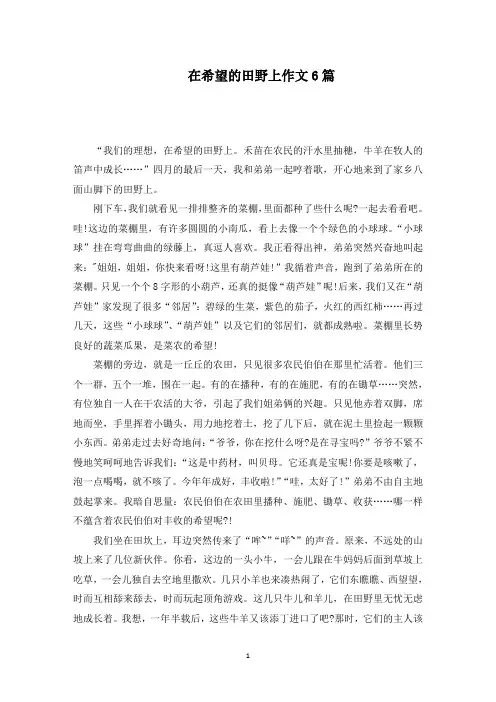 在希望的田野上作文6篇范文精编