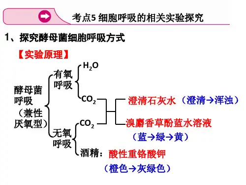 人教版生物必修1：探究酵母菌细胞呼吸的方式实验(共12张PPT)