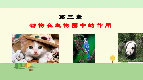 人教版 生物  八年级上册     动物在生物圈中的作用