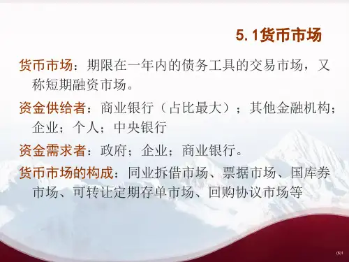 货币市场和资本市场erlj.pptx