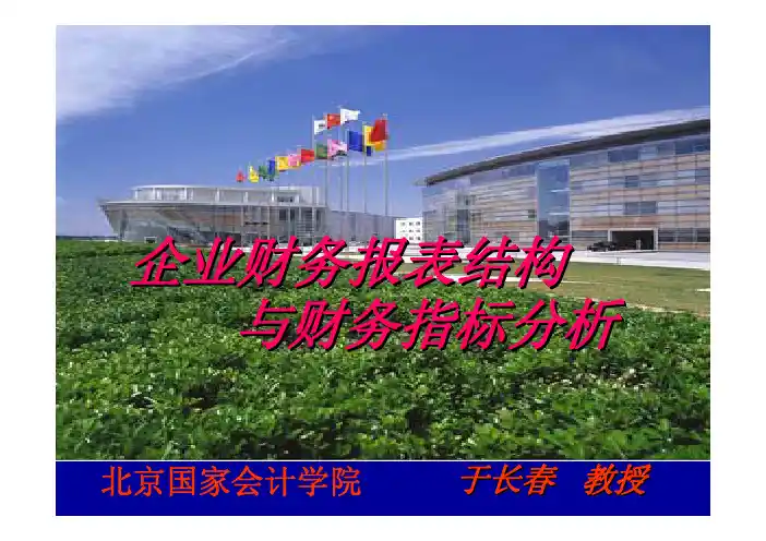 企业财务报表结构与财务指标分析