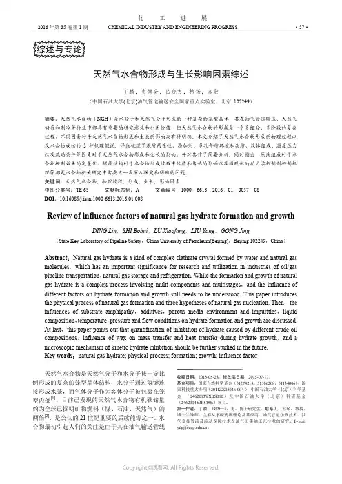 天然气水合物形成与生长影响因素综述