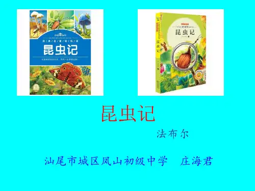 语文人教版(部编)八年级上册《《昆虫记》：科普作品的阅读》课件公开课(26)