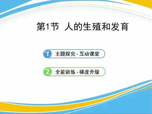 《人的生殖和发育》PPT【优秀课件】