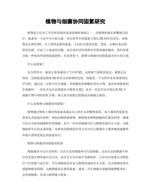 植物与细菌协同固氮研究