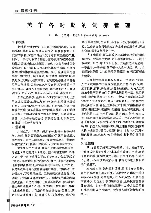 羔羊各时期的饲养管理