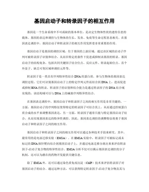 基因启动子和转录因子的相互作用