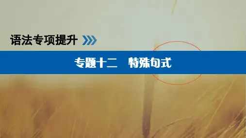 2019版高考英语大一轮增分计划之语法专项提升课件：专题12 精品
