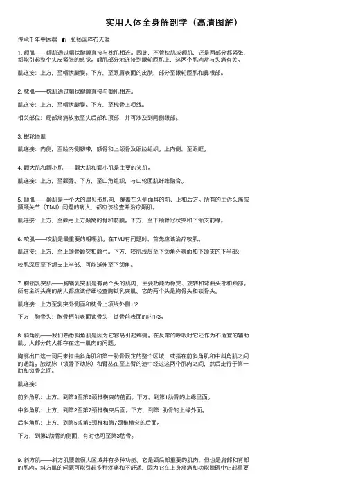 实用人体全身解剖学（高清图解）
