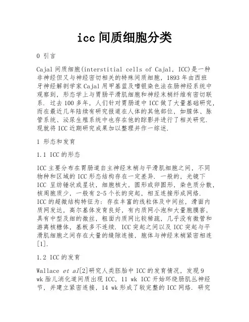 icc间质细胞分类