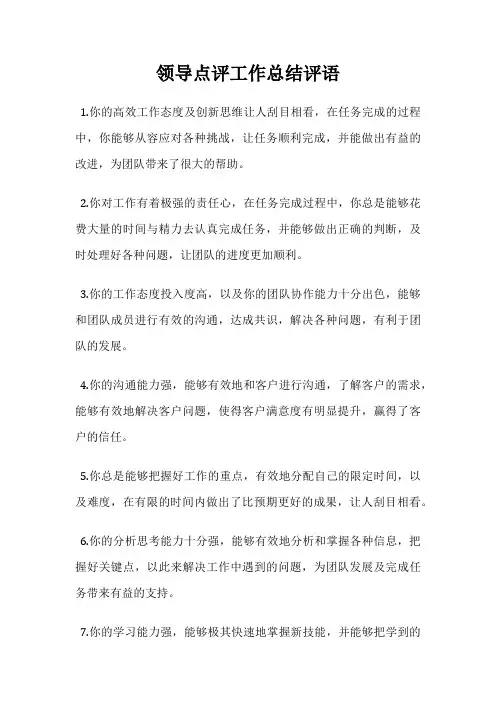 领导点评工作总结评语