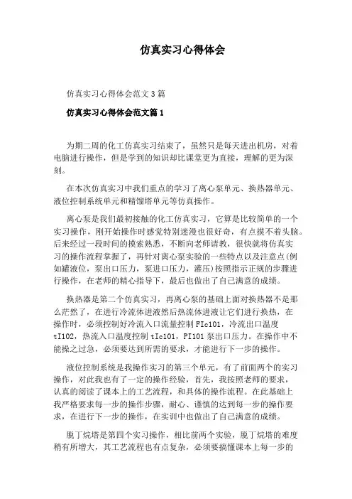 仿真实习心得体会