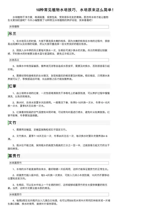 10种常见植物水培技巧，水培原来这么简单！